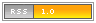 RSS 1.0
